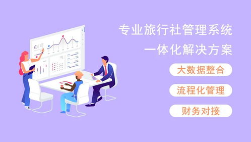 數(shù)據(jù)驅(qū)動(dòng)，精準(zhǔn)賦能 旅行社票務(wù)代理業(yè)務(wù)的增長新路徑